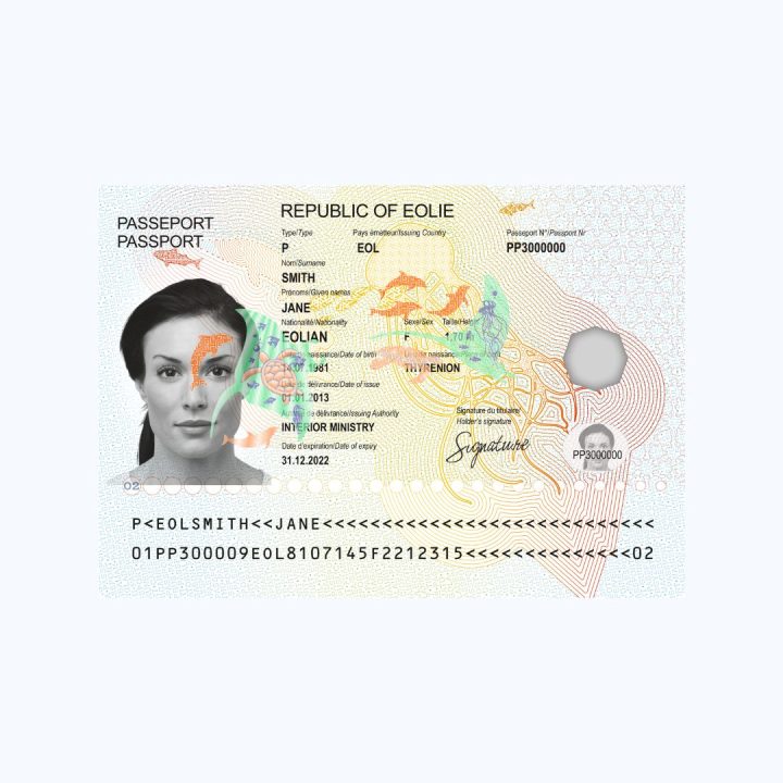 Composants sécurisés pour page de données en polycarbonate